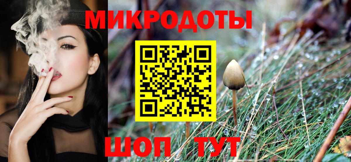 Галлюциногенные грибы Psilocybine cubensis Вольск