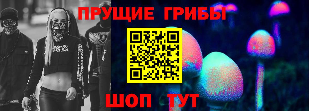 Вольск  Галлюциногенные грибы ЛСД  Вход с VPN  что такое наркотик  Галлюциногенные грибы ЛСД 